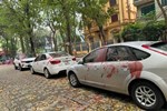 Tạm giữ hình sự 4 kẻ tạt sơn vào nhiều ô tô ở Hà Nội-2
