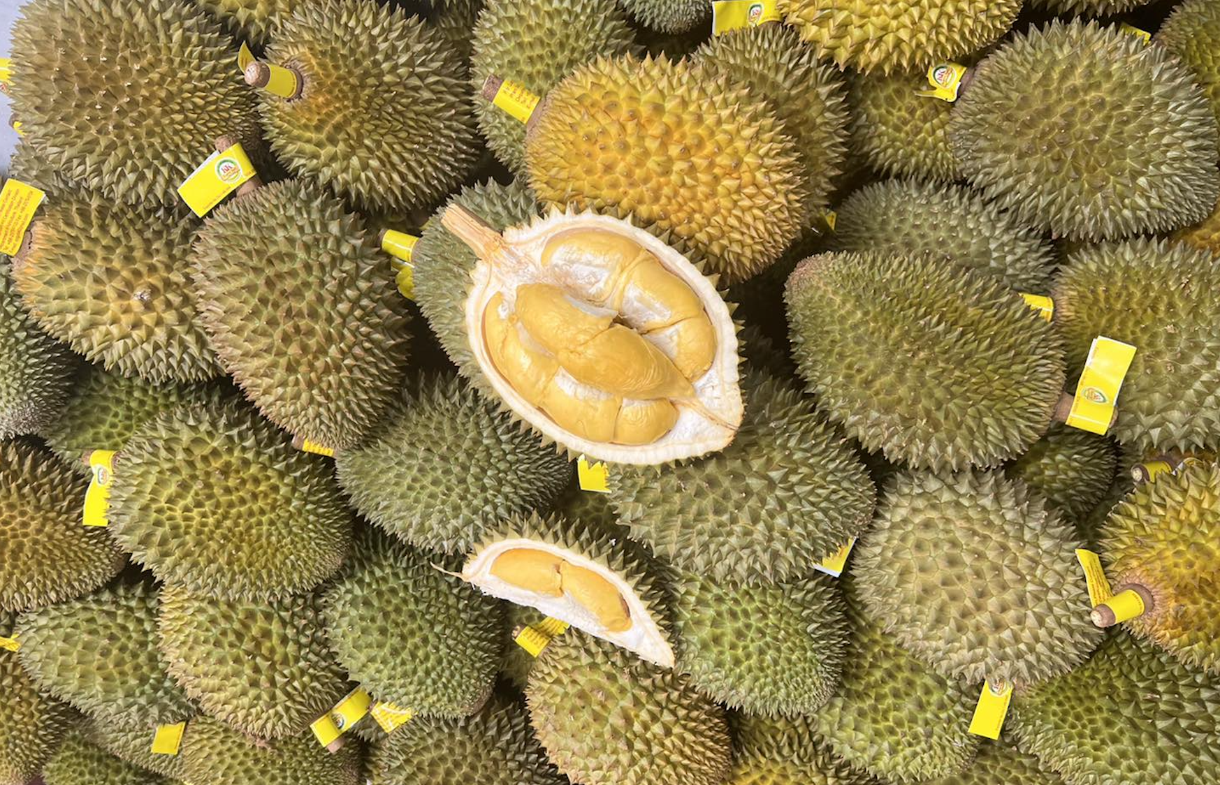 Thái Lan tham vọng thu 27 tỷ USD, cảnh báo với sầu riêng Việt Nam-1