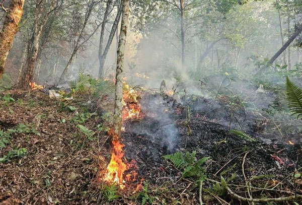 Hai cán bộ kiểm lâm Hà Giang tử vong khi chữa cháy rừng-2