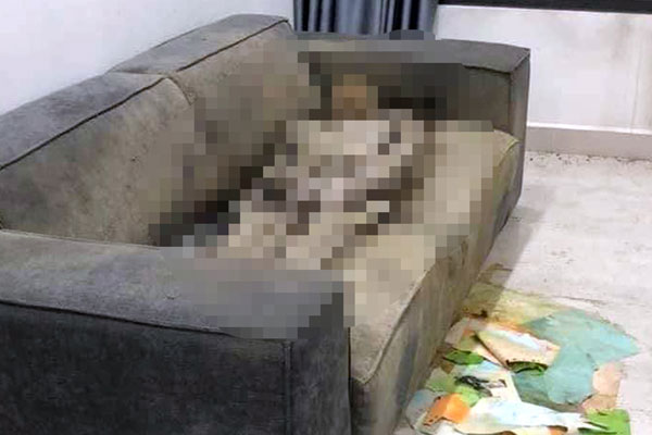 Manh mối phát hiện xác chết đã 1,5 năm ở chung cư cao cấp tại Hà Nội-2