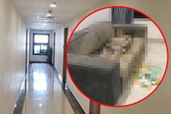 Chủ căn hộ có cô gái 
