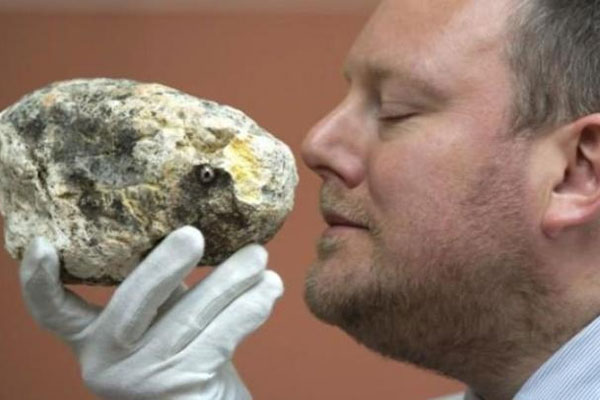 YouTuber 2,4 triệu người follow bị bắt vì tấn công bạn gái-3