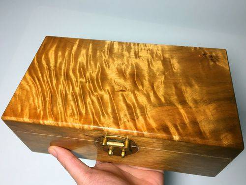 Lan đột biến không là gì, đây là loại cây có giá 9.000 tỷ đồng: Thân gỗ tỏa sáng như vàng ròng nhưng vì sao cho giống cũng không ai dám trồng?-6