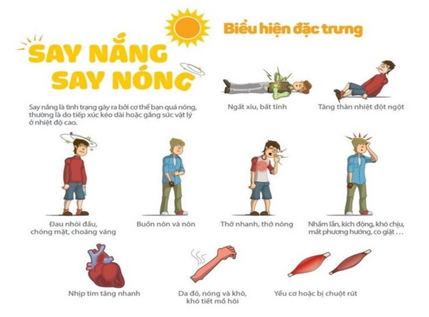 Kỹ năng cấp cứu say nắng ai cũng nên biết-2