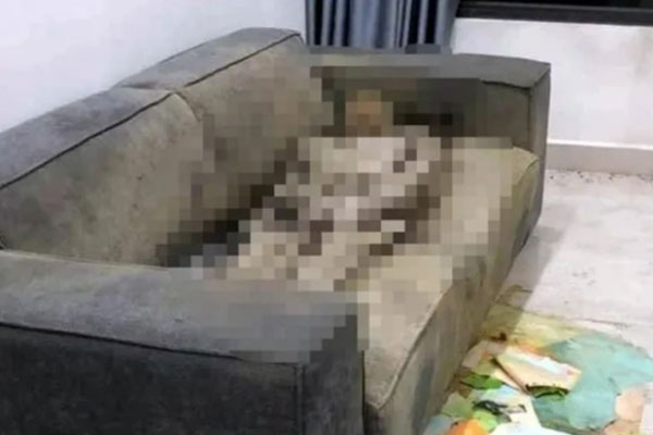 Thông tin mới vụ phát hiện thi thể chết khô trong căn hộ chung cư ở Hà Nội-1