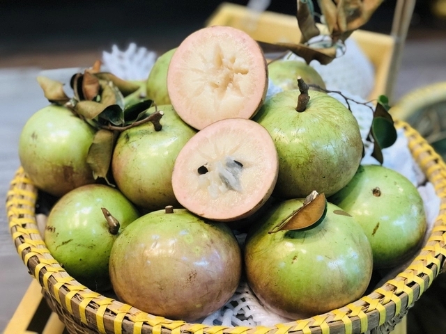 Loại quả ngọt mọng tốt ngang nhân sâm, chỉ duy nhất Việt Nam xuất khẩu trên thế giới: Vừa hạ đường huyết, vừa bơm máu hiệu quả-2