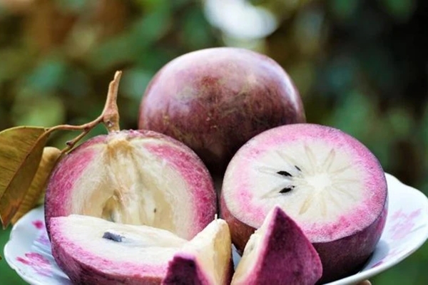 1 loại hạt được ví nhân sâm đen” của Việt Nam: Vừa hạ đường huyết, vừa quét sạch mỡ máu-3