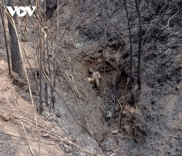 Phát hiện thi thể 3 bố con chết cháy trong khe núi ở Điện Biên-1