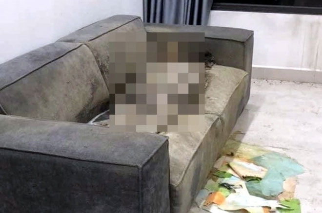 Vụ cô gái tử vong trong chung cư ở Hà Nội: Bác sĩ pháp y lý giải hiện tượng thi thể khô trên sofa-1