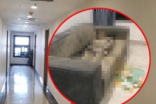 Vụ cô gái tử vong trong chung cư ở Hà Nội: Bác sĩ pháp y lý giải hiện tượng thi thể khô trên sofa