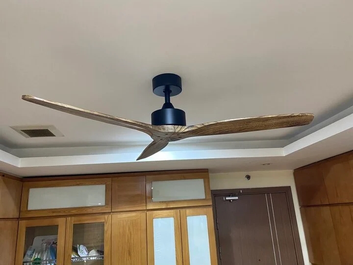 Vì sao cánh quạt thường là số lẻ?-1