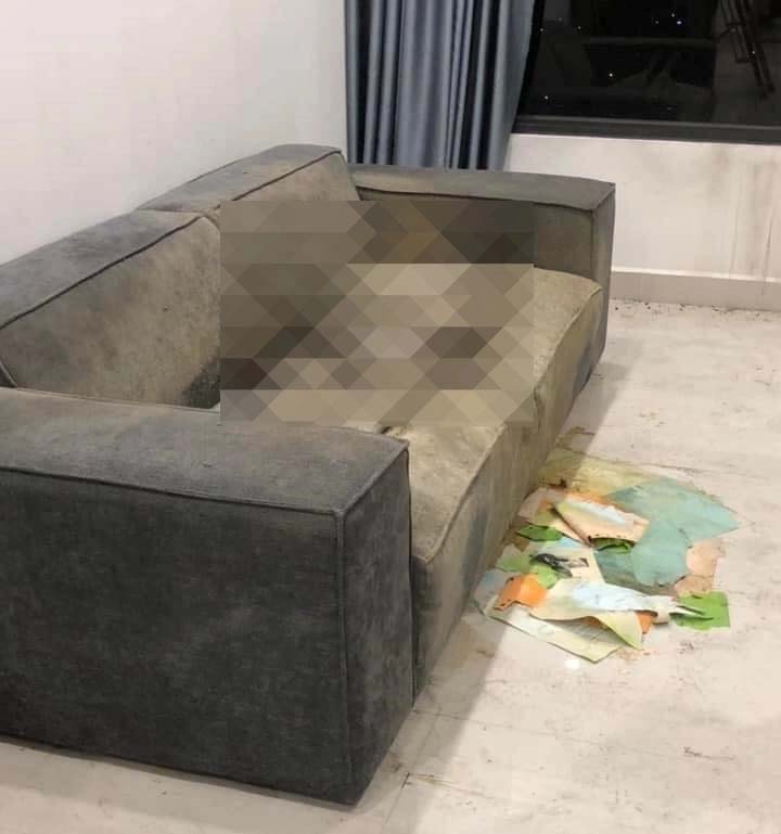 Những điểm nghi vấn vụ thi thể cô gái trên sofa: Người đàn ông bí ẩn và chiếc điện thoại bị tháo sim-2