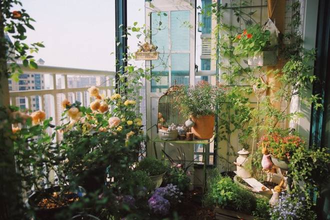 9X tự tay cải tạo ban công 5m2 trong 1 tháng, góc nào cũng đẹp cũng nên thơ-2