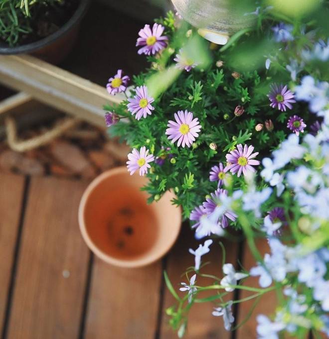 9X tự tay cải tạo ban công 5m2 trong 1 tháng, góc nào cũng đẹp cũng nên thơ-8