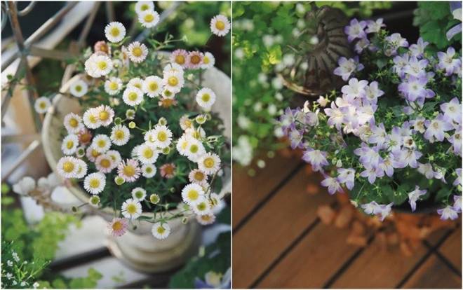 9X tự tay cải tạo ban công 5m2 trong 1 tháng, góc nào cũng đẹp cũng nên thơ-10