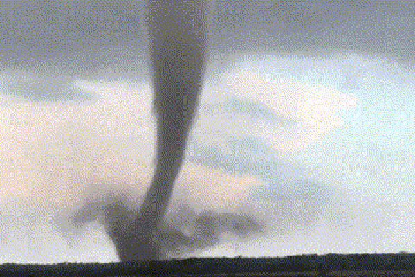 Mưa cá” từ trên trời rơi xuống ở Iran-1