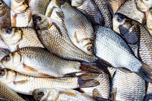 Điều chỉnh nút nhỏ này trên tủ lạnh có thể khiến bạn tiết kiệm được cơ số tiền điện: EVN cũng khuyên làm!-8