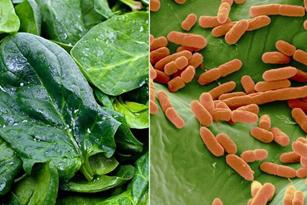 Bánh mì pate, bánh mì ruốc thịt bán ngoài đường phố... và những mối lo về nguy cơ ngộ độc, an toàn thực phẩm-5