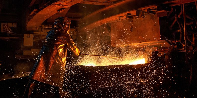 Liên tục tìm thấy vàng trắng, chuyên gia kết luận: Chỗ nào có loại cây này nơi đó có kho báu-6