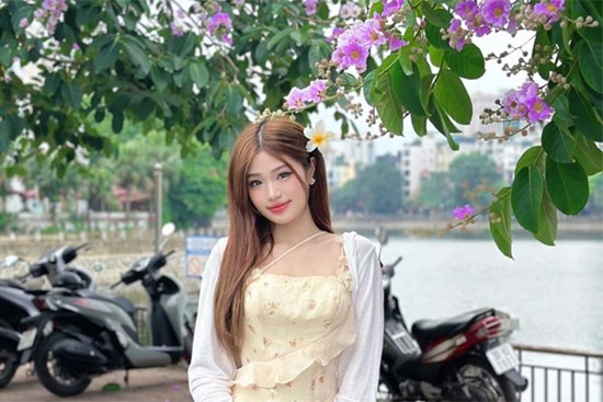 Cây hoa bằng lăng gần hồ Hoàng Cầu bỗng dưng nổi tiếng