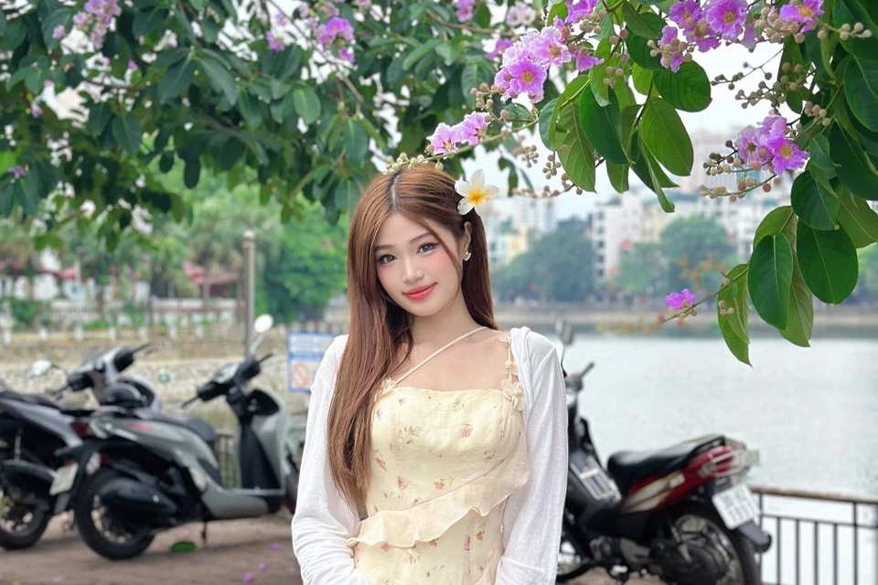 Cây hoa bằng lăng gần hồ Hoàng Cầu bỗng dưng nổi tiếng-1