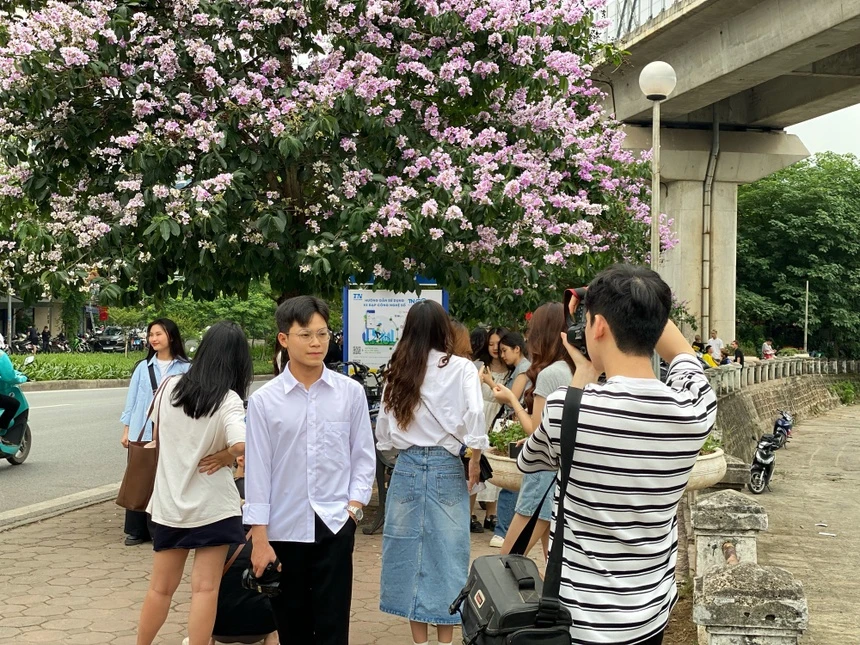 Cây hoa bằng lăng gần hồ Hoàng Cầu bỗng dưng nổi tiếng-4