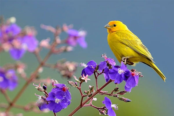 Từ giờ đến cuối năm, 3 con giáp biến áp lực thành cơ hội, tài phú chạm nóc, tiền về đầy túi-4