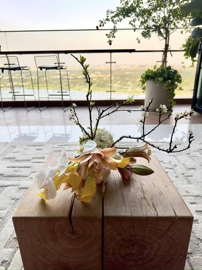 Diva Hồng Nhung cắt hoa vào cắm trong penthouse khu nhà giàu, dân mạng bình luận Nhìn điêu quá-14