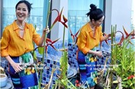 Diva Hồng Nhung cắt hoa vào cắm trong penthouse khu nhà giàu, dân mạng bình luận 'Nhìn điêu quá'