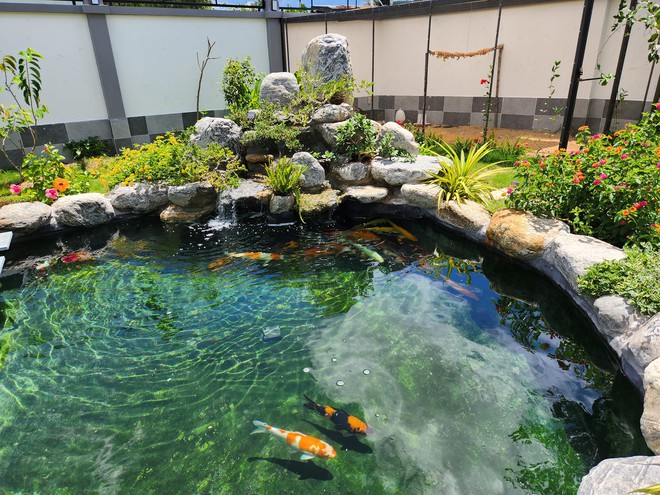 Đại gia BĐS của showbiz Việt sở hữu biệt thự triệu đô, vui vui tậu liền 2 miếng đất 2.000m2 cho con cắm trại chơi-4