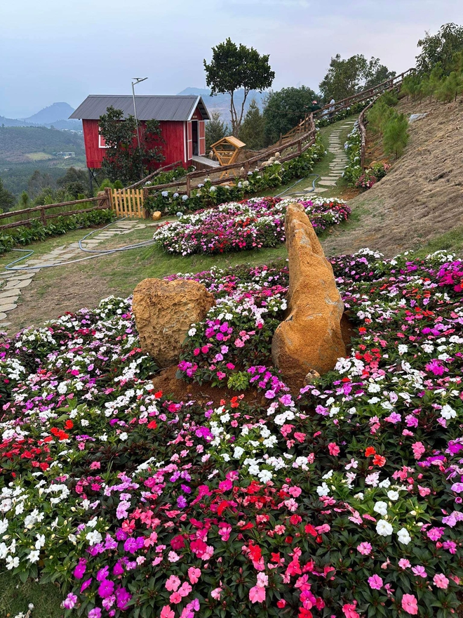 Đại gia BĐS của showbiz Việt sở hữu biệt thự triệu đô, vui vui tậu liền 2 miếng đất 2.000m2 cho con cắm trại chơi-15