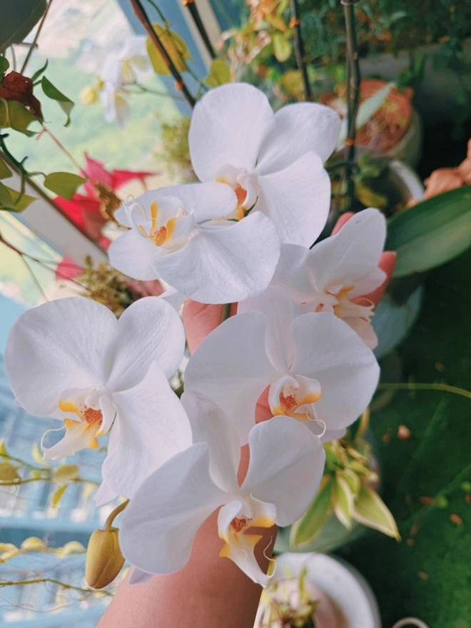 Phương Oanh về nhà cũ sau nửa năm ở với Shark Bình trong biệt thự lớn, giật mình khi thấy thứ này-2