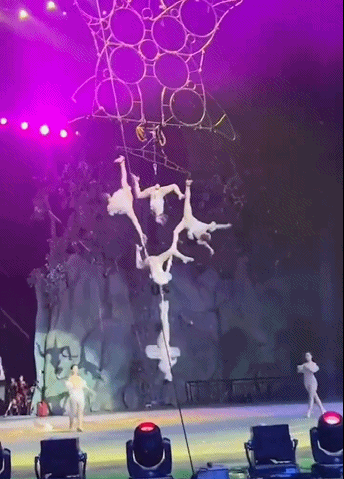 Trường dạy xiếc bị lên án sau vụ nữ diễn viên Tâm Ngữ 10 tuổi tử vong-2