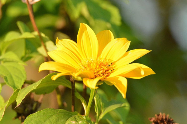 Tháng 4 Âm lịch, 3 con giáp đón mưa thuận gió hòa, bùng nổ mạnh mẽ, phất lên từng ngày-1