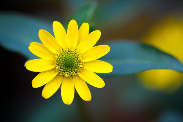 Tháng 4 Âm lịch, 3 con giáp đón mưa thuận gió hòa, bùng nổ mạnh mẽ, phất lên từng ngày-3