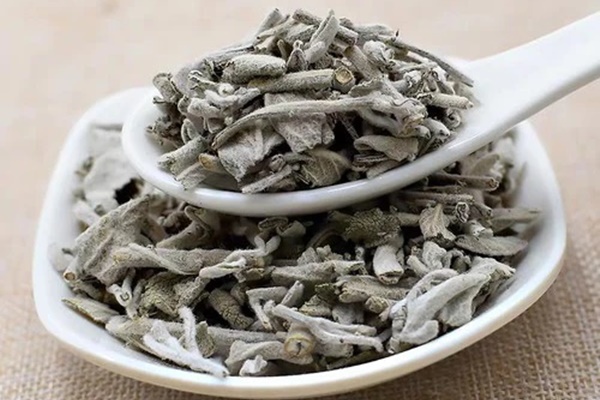 Việt Nam có 1 loại cây quý là thuốc kiểm soát đường huyết” tốt ngang insulin tự nhiên”: Còn giúp dưỡng xương, tăng cường trí nhớ hiệu quả-2