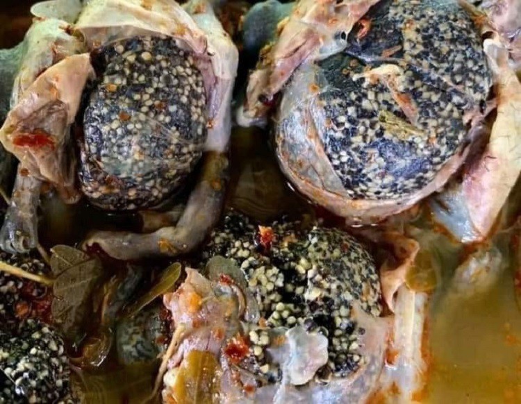 Loại ếch nhìn kinh dị” lại là đặc sản, giá lên tới 180 nghìn đồng/kg-4