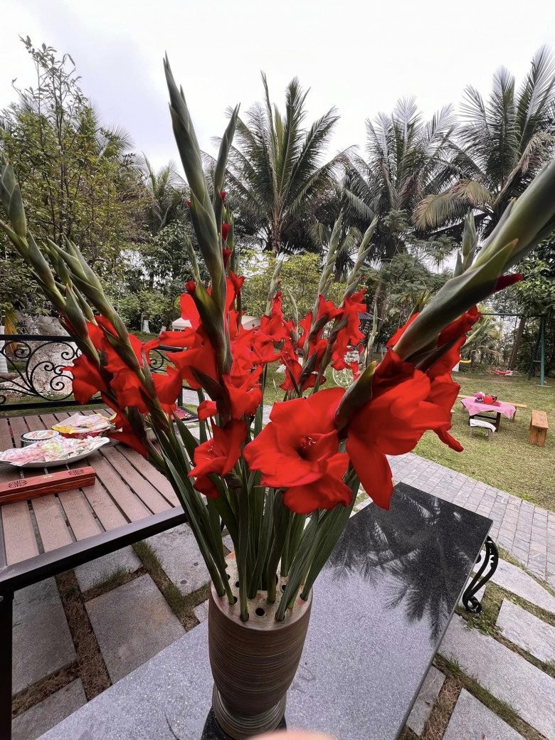 NSND Xuân Bắc đăng ảnh phòng của 2 con trai lớn, để lộ kho tàng độc đáo trong biệt phủ ngoại ô-14