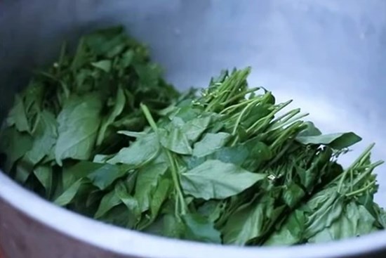 Loại lá từng là cỏ mọc hoang, nay quý như “đặc sản”, nấu canh thành 
