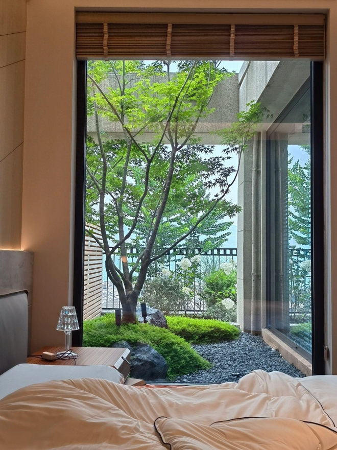 Căn hộ có chiếc view đẹp như tranh, không gian phủ màu xanh khiến netizen nức nở: Mê cách yêu thiên nhiên của nữ chủ nhân-1
