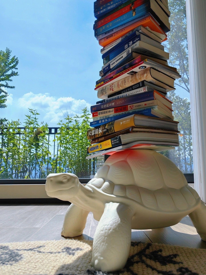 Căn hộ có chiếc view đẹp như tranh, không gian phủ màu xanh khiến netizen nức nở: Mê cách yêu thiên nhiên của nữ chủ nhân-6