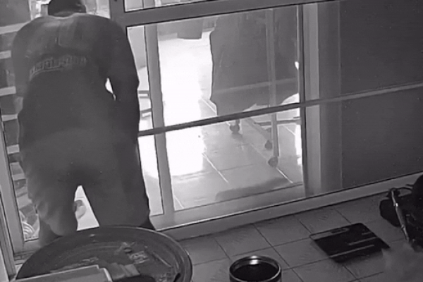 Clip: Nghẹt thở khoảnh khắc vây bắt rắn hổ mang chúa khổng lồ-1