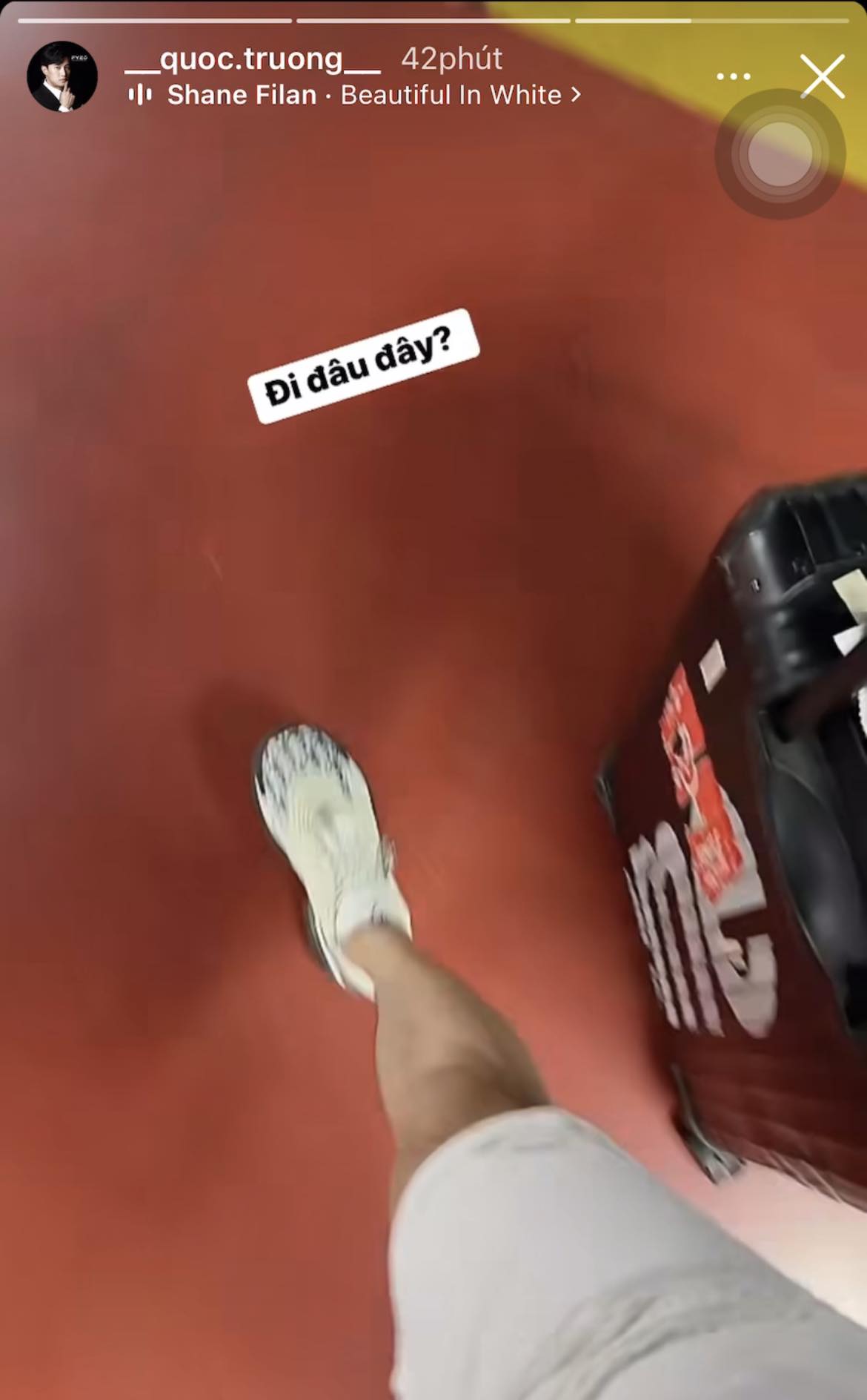 Dàn sao lên đường đến Đà Lạt dự cưới Midu: Quốc Trường hào hứng, Harry Lu nôn nao dậy trước cả báo thức-1