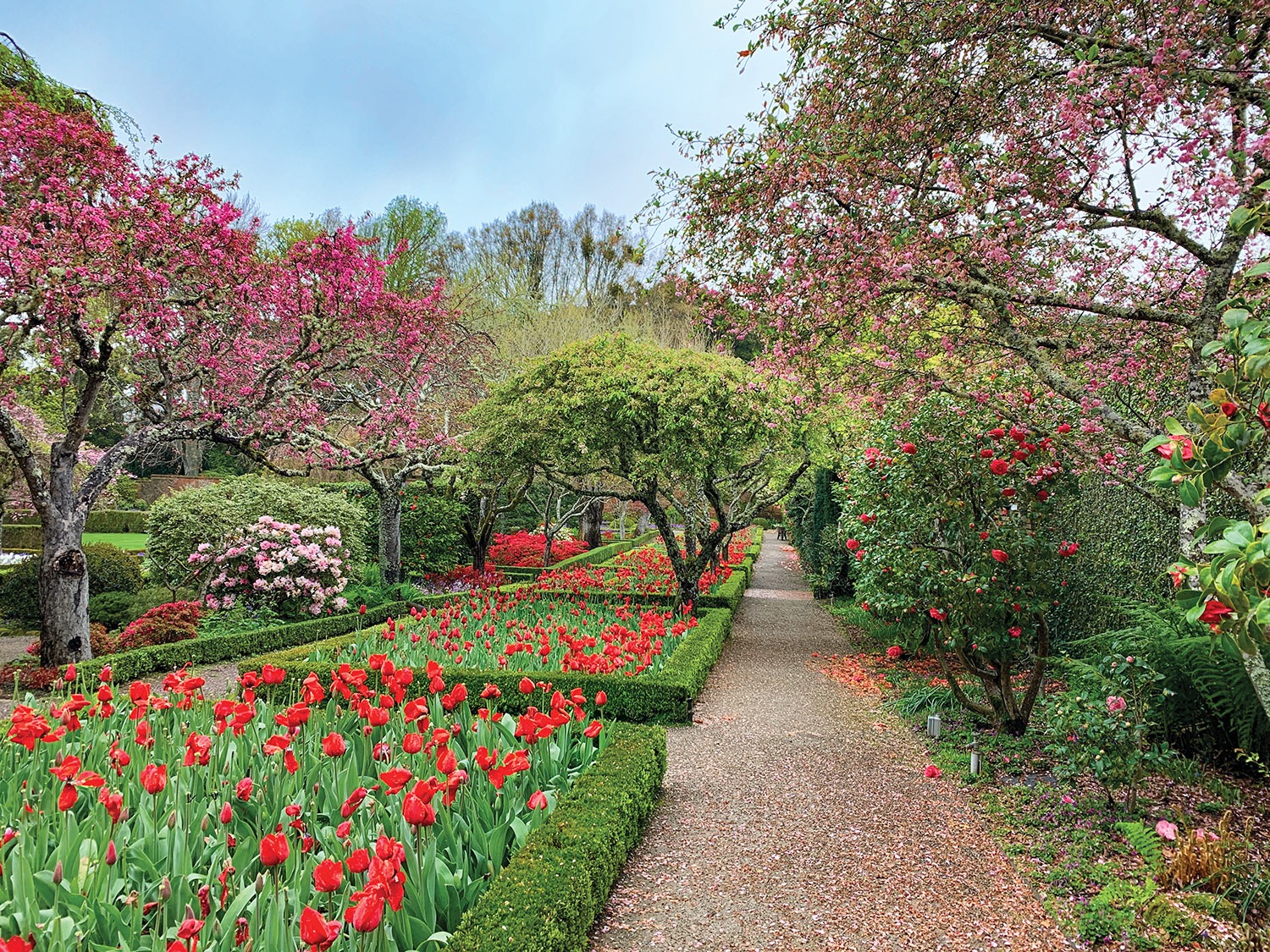 Người xưa dặn: Trước cửa 6 trồng, 4 tránh, trăm năm phú quý, xui xẻo tránh xa-2