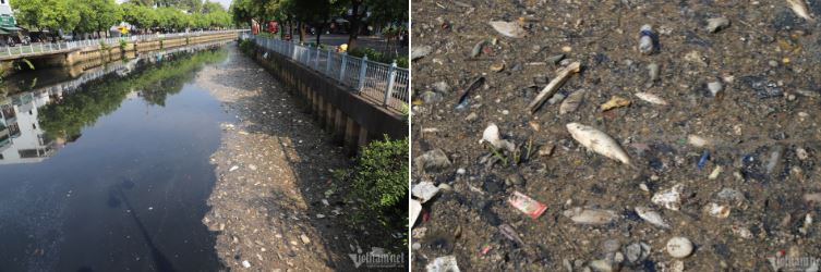 Sau mưa đầu mùa, xác cá chết lẫn rác thải nổi đầy kênh Nhiêu Lộc - Thị Nghè-4
