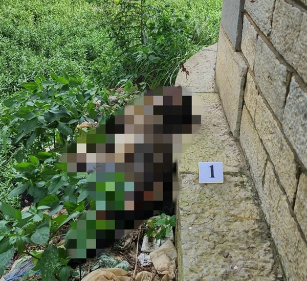 Hà Nội: Phát hiện thi thể nam giới tử vong hơn 1 tháng dưới chân cầu Long Biên-1