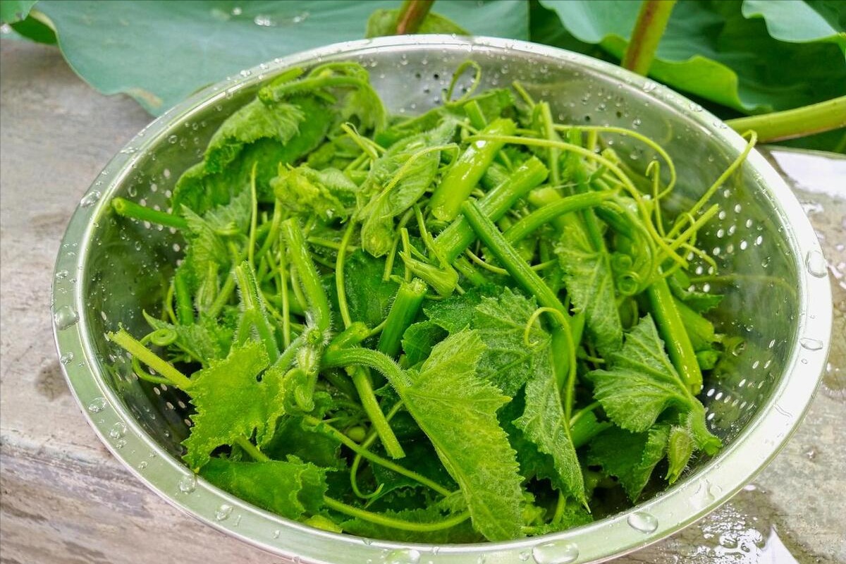 Loại rau bổ ruột tự nhiên, ăn nhiều nhuận tràng, thông phổi, hạ huyết áp, xào nấu đều ngon-4