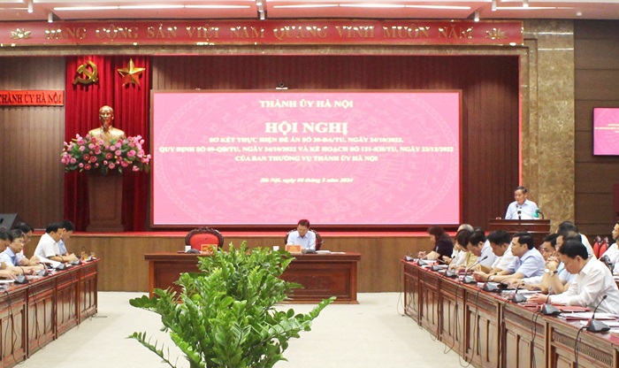 Triển khai Đề án số 20-ĐA/TU: Chú trọng công tác phát triển Đảng cho thế hệ trẻ-4