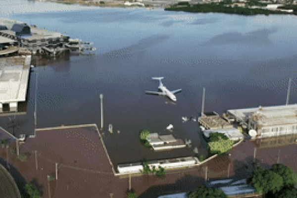 Clip: Chú chó được cứu khỏi tảng đá trên sông giữa trận lũ lụt-1