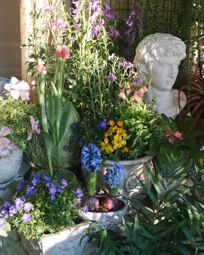 9X biến ban công 12m2 thành xứ sở thần tiên”, nắng ít hơn 2 tiếng mỗi ngày nhưng hoa vẫn nở rộ-5